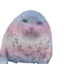 yotrans
