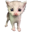 big_eyes