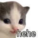 pethehe pethehe