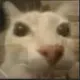 __