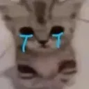 dd_cryingkitty