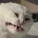 scrunc