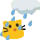 meow_enjoyrain