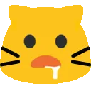 meow_drool meow_drool