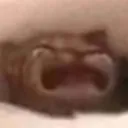 waa