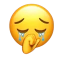 camdongqa
