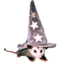 magicopossum