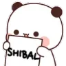 shibarr