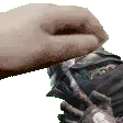 wylderpat