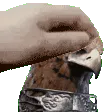 guardianpat