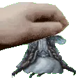 rannipat rannipat