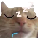 000mewdruelsleep