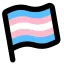 37917transgender