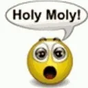 holy_moly