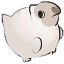 rotund