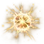 thunderglobe