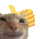 CatThumbUp CatThumbUp