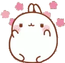 MolangCute