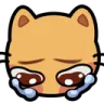 kittyCry