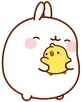 MolangHug1