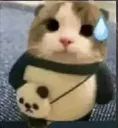 Pancat Pancat