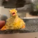 AAAAAA