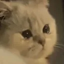 sad