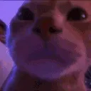 catpartycopy catpartycopy