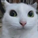 Huh