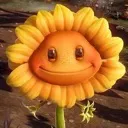 sunflowerstare