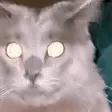 omojam omojam