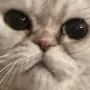 mou_staring