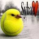 sybautennisbird