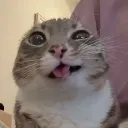 emoji_17 emoji_17