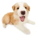 emoji_35