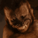 5122monkey11