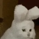yes