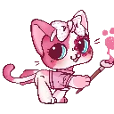 chat_europeen_petshop_2291