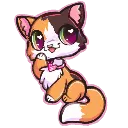 petit_chaton_petshop