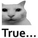 cannytrue