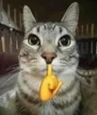 Shhhhh