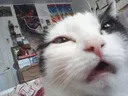 Ahhhh