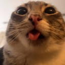 :rigby_tongue: