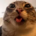 rigby_tongue