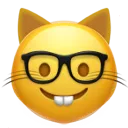 nerd_cat_face nerd_cat_face