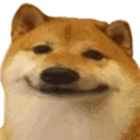 dogesmile