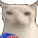 6cat_cips