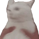 6shakethecat