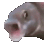 :pogfishanimated: