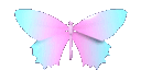 butterfly1